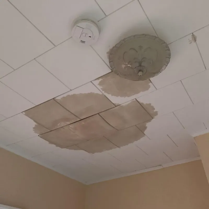 Ceiling Water Damage Repair in Cumberland, MD