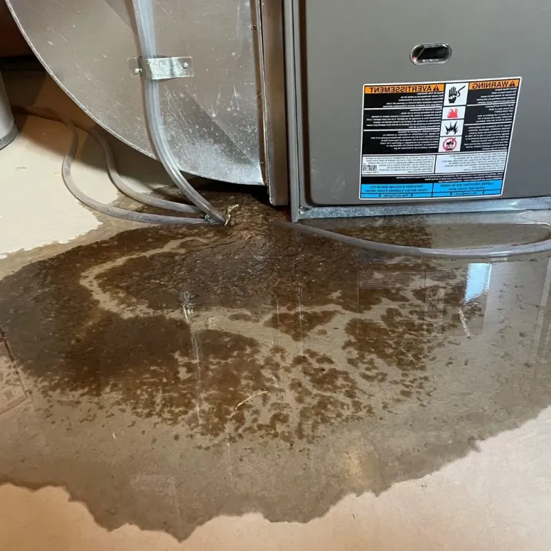 Pipe Burst and Leak Restoration in Cumberland, MD