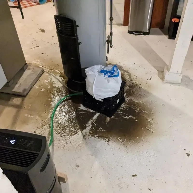 Sewage Backup Cleanup Service in Cumberland, MD
